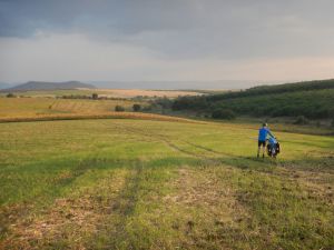 A campsite with a view