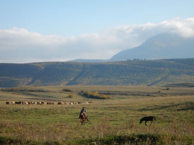 Sending his son to fetch us more plum wine