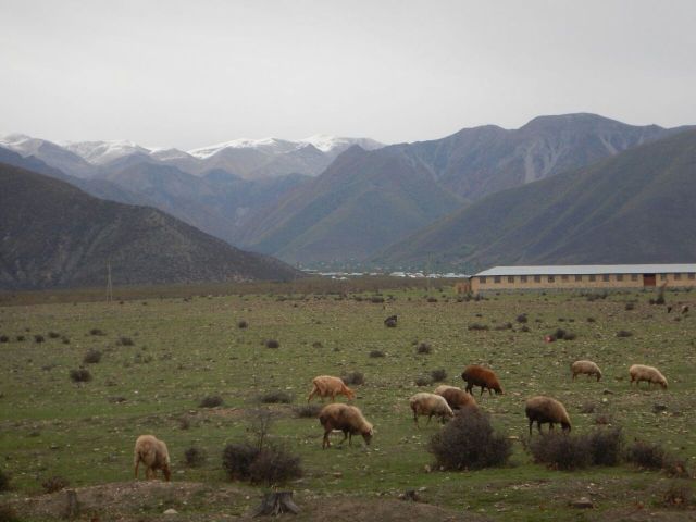 Caucasus mountain scenery near Georgia