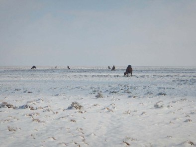 All this fun to come