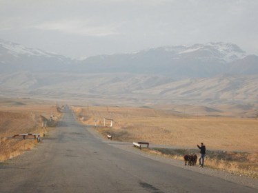 The wave-whistle combo, 18 Nov 14