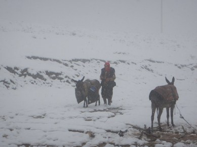 Better places to be, 27 Nov 14