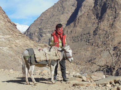 A more suitable mode of transport