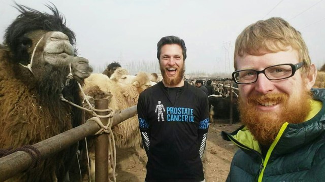 Camel selfie!