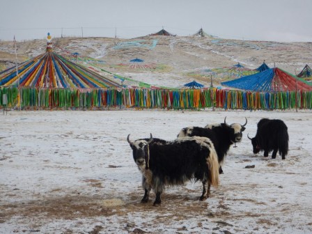 What to see when strolling around a village