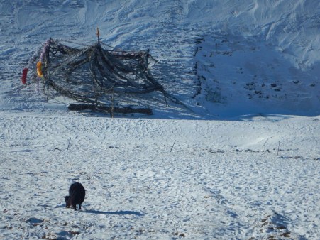 The sun rising to reveal compacted ice