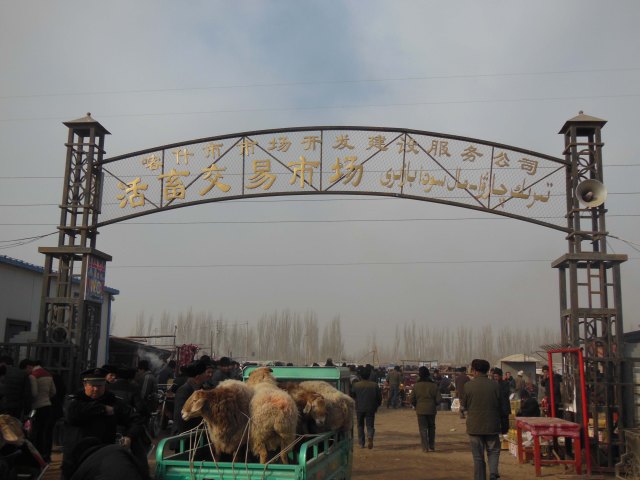 The livestock market, Kashgar, 4 Jan 15