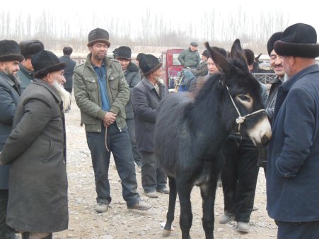 "That's a lovely ass", Kashgar, 4 Jan 15