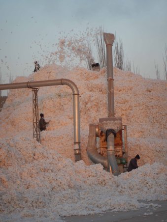 Cotton factory, 8 Jan 15