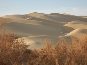 So many dunes, 12 Jan 15