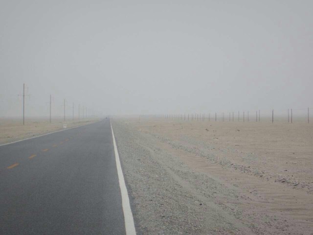 In the Taklamakan desert, Jan 2015