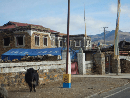 Many houses unsafe to live in